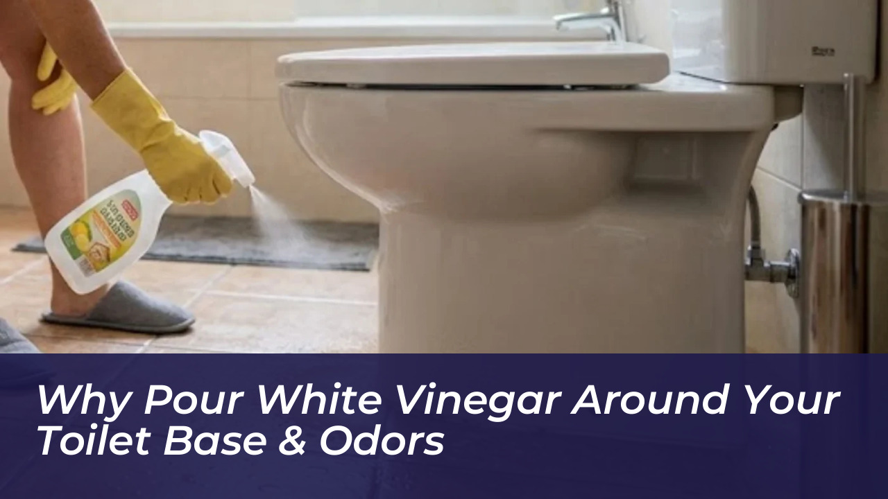 why pour white vinegar around your toilet base odors 0ghf