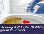 why pouring half a liter of white vinegar in your toilet GKrB