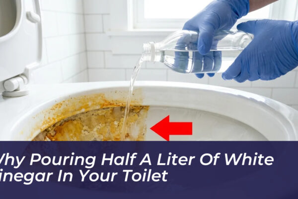 why pouring half a liter of white vinegar in your toilet GKrB