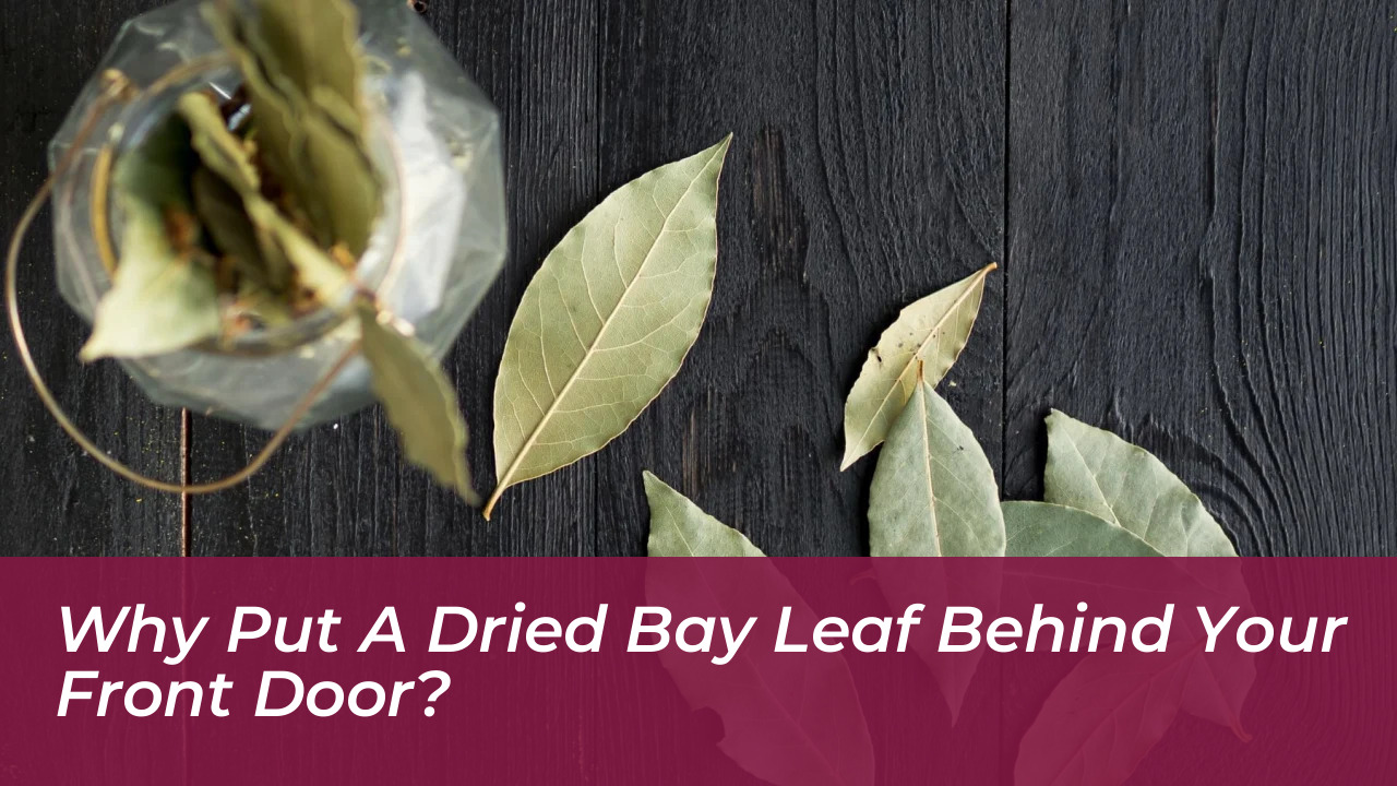 why put a dried bay leaf behind your front door 1reA