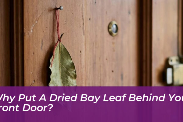 why put a dried bay leaf behind your front door Szvm
