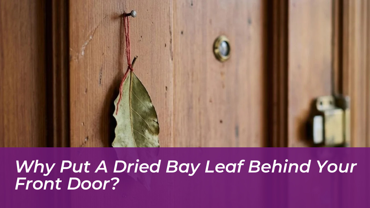 why put a dried bay leaf behind your front door Szvm