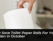 why save toilet paper rolls for your garden in october YYzb