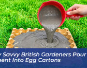 why savvy british gardeners pour wet cement into egg cartons Y3jP