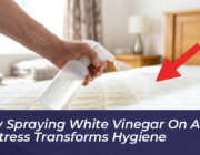 why spraying white vinegar on a mattress transforms hygiene zyRp