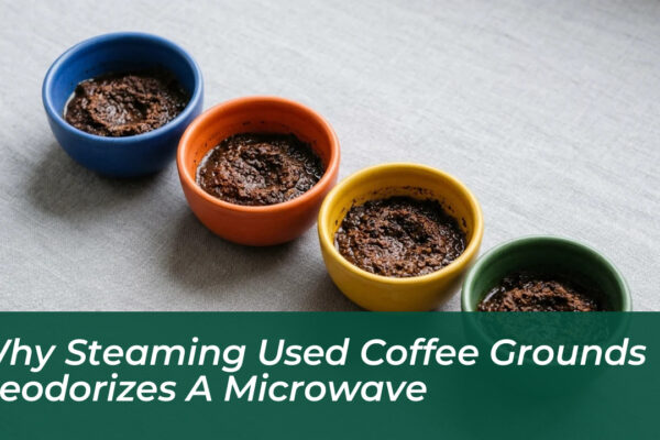 why steaming used coffee grounds deodorizes a microwave DTBp