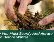 why you must scarify and aerate your lawn before winter T9pD