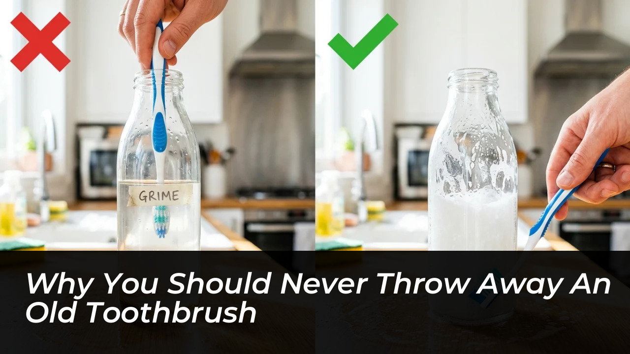 why you should never throw away an old toothbrush 4zMp