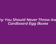 why you should never throw away cardboard egg boxes xCGA