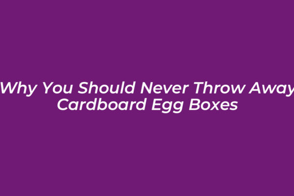 why you should never throw away cardboard egg boxes xCGA
