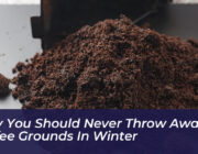 why you should never throw away coffee grounds in winter vB1C