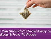 why you shouldnt throw away used tea bags how to reuse wNPy