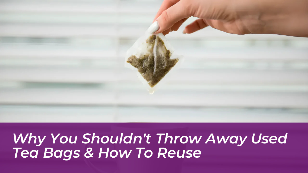 why you shouldnt throw away used tea bags how to reuse wNPy