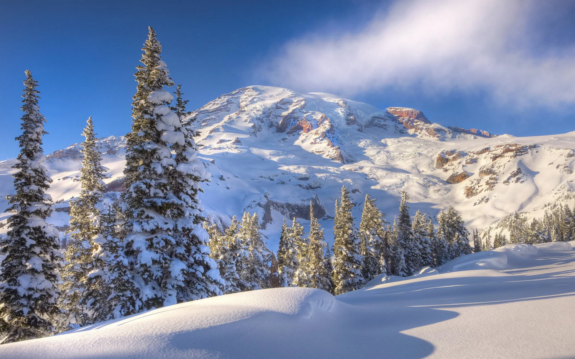 How Forecasters Predict Thanksgiving Travel Weather & Early Plan 4 Winter Highway Traffic Thanksgiving Weather Snow