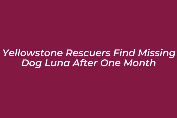 yellowstone rescuers find missing dog luna after one month oki1