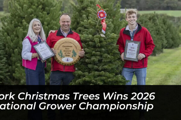 york christmas trees wins 2026 national grower championship QUT7