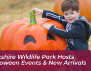 yorkshire wildlife park hosts halloween events new arrivals UhRX