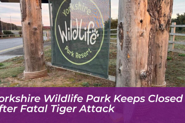 yorkshire wildlife park keeps closed after fatal tiger attack df36
